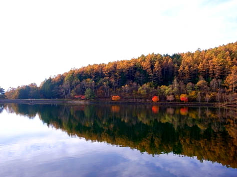 lake_autumn.jpg