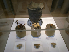 「縄文土器」と文様に描かれたキノコの模型