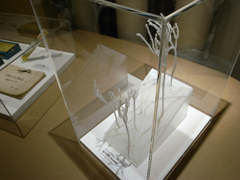 アオカビの立体模型