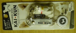 KaikunP1010345.jpg