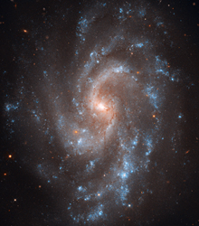 「NGC 5584」1