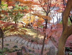 小石川後楽園の今年最後の紅葉と庭