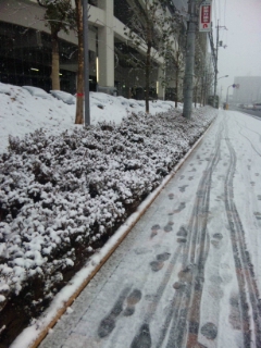 大雪2011.02.14