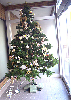 2006クリスマスツリー1