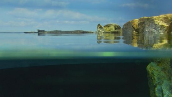 サンシャイン水族館のラッコ（水中と水面2;CX3）