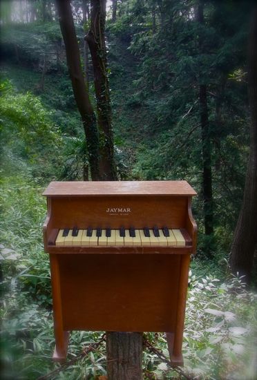 toypiano in the wood