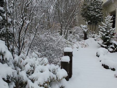 雪景色2011.12.9