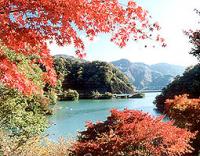 紅葉に彩られる丹沢湖