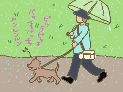レモンの機嫌がいいので、雨の日の散歩も悪くない。