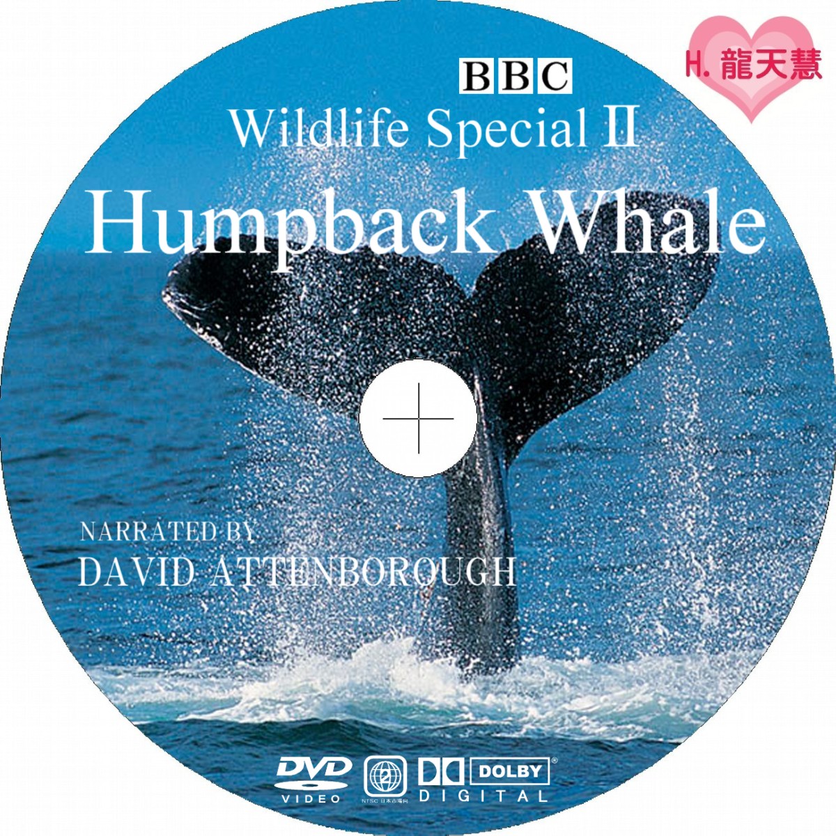偉大な BBC ワイルドライフ•スペシャルⅡ シャチ DVD セル版 - 通販 ...