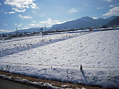 雪の田