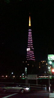 東京タワー２０１１