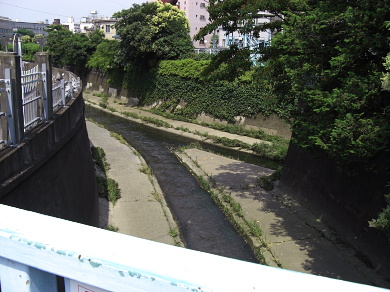 神田川と善福寺川の合流点