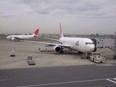 羽田空港の、よくある？光景です
