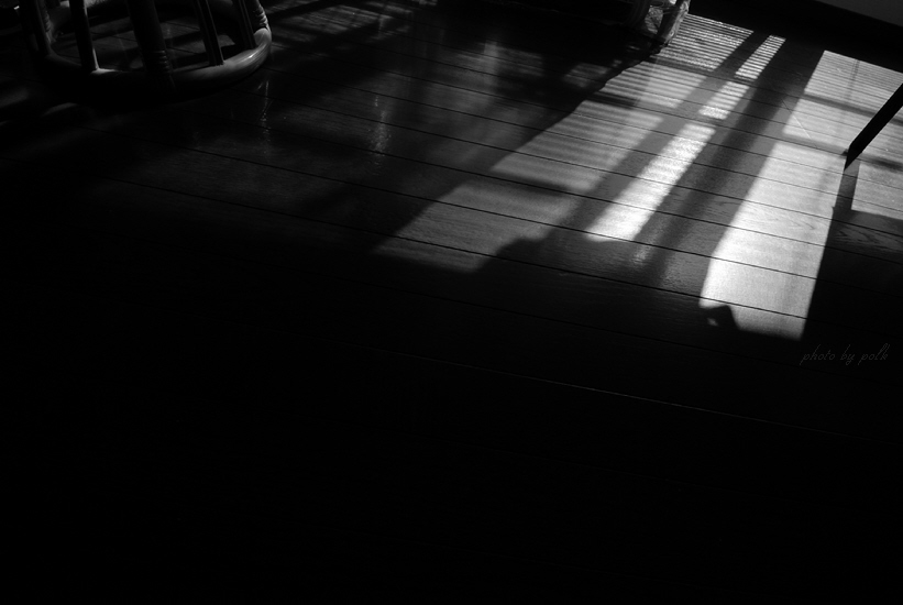 shadow_2009_2_2_2.jpg