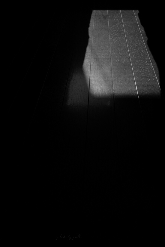 shadow_2009_3_10.jpg