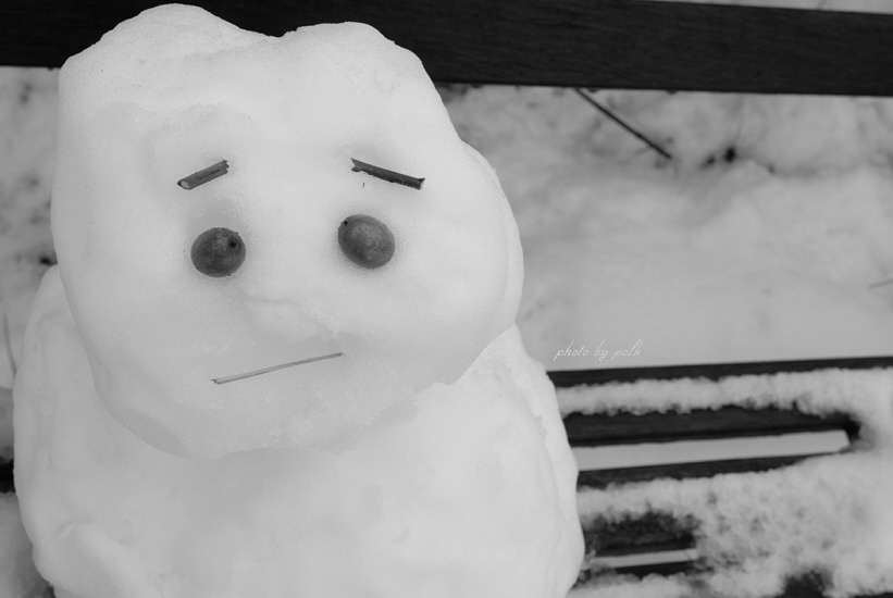 snowman_2009_2_20.jpg