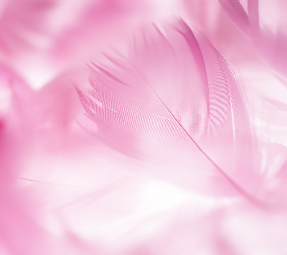 元の壁紙 スマホ ピンク 最高の花の画像