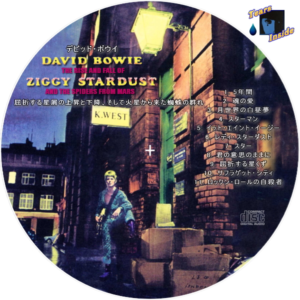 David Bowie / The Rise And Fall Of Ziggy Stardust And The Spiders 