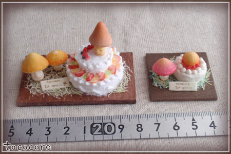 きのこケーキサイズ比較