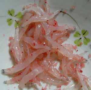 桜葉白魚